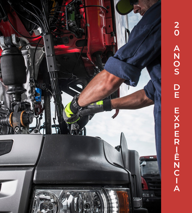 20 Anos de Experiência